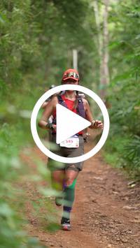 BIB:  <button type="button" onclick="openModal(27194767)" class="btn btn-primary btn-sm float-right" data-toggle="modal" data-target=".modal-high-quality">
                <i class="fa fa-download"></i> Download
                </button>